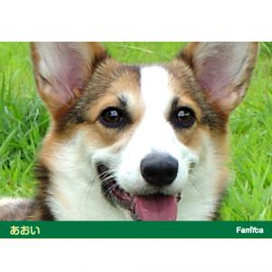 マウスパッド