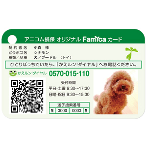Famicaカード　グリーン(※アニコム損保契約者限定販売)