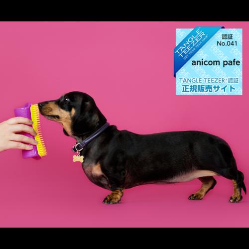 【この季節におすすめのブラシ】ペットティーザー