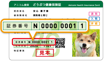 保険証サンプル
