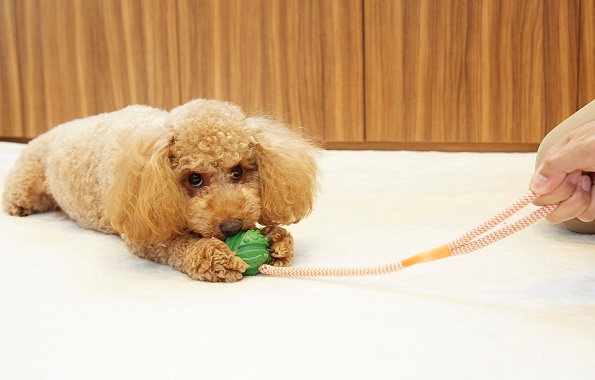 20210812_361_tsuji.jpg