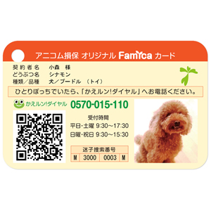 Famicaカード　オレンジ(※アニコム損保契約者限定販売)
